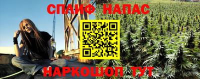 индика Ливны