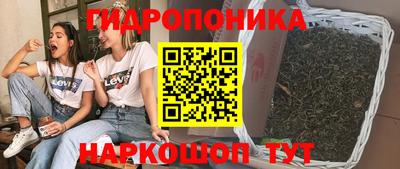 индика Ливны