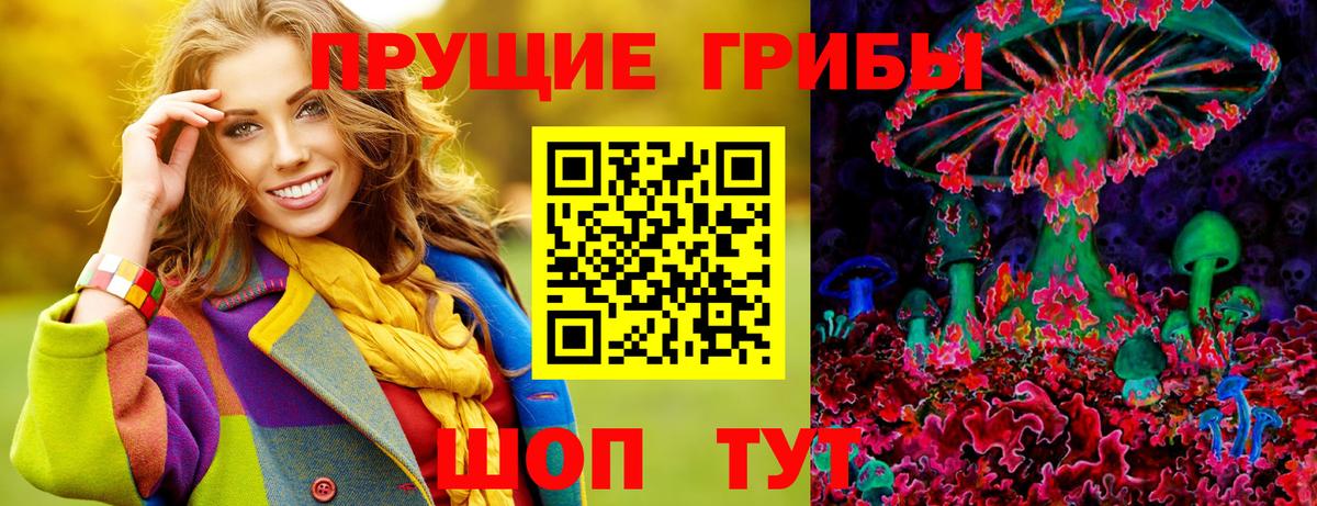 Северобайкальск  Галлюциногенные грибы Magic Shrooms  Вход с VPN 